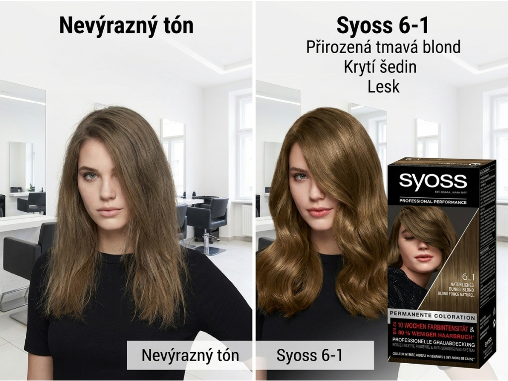Srovnání odstínu Syoss 6-1
